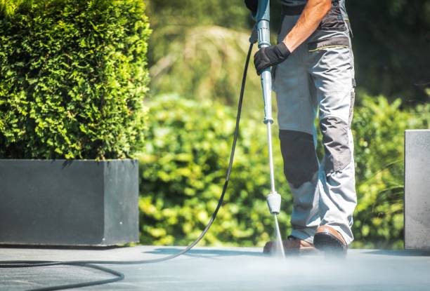 Animal Enclosure Cleaning in Memphis, FL